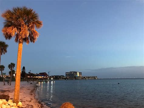 Ben t davis beach tampa. Things To Know About Ben t davis beach tampa. 
